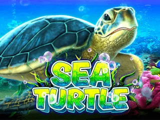 Sea Turtle